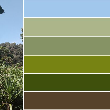 moodboard of colors