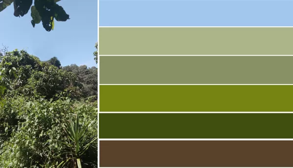 moodboard of colors